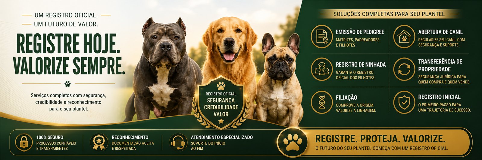 consultoria-canil-1