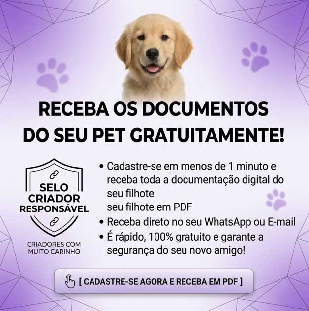 banner-inf-galeria-celular