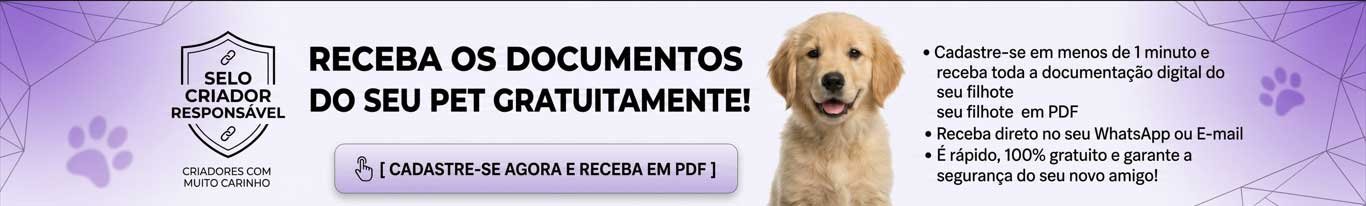 banner-inf-galeria-ok